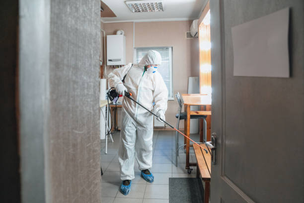 Best Comprehensive Air Testing for Mold Contaminants  in Parsippany, NJ