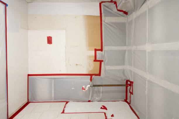 Best Mold Damage Restoration  in Parsippany, NJ