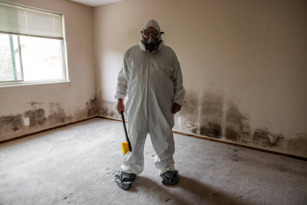 Mold Remediation for Rental Properties in Parsippany, NJ